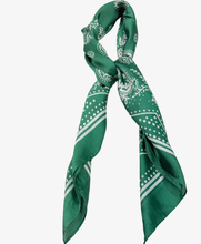 Wild Rag Scarf
